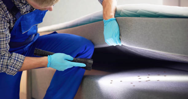 Best Residential Pest Control  in Point Roberts, WA