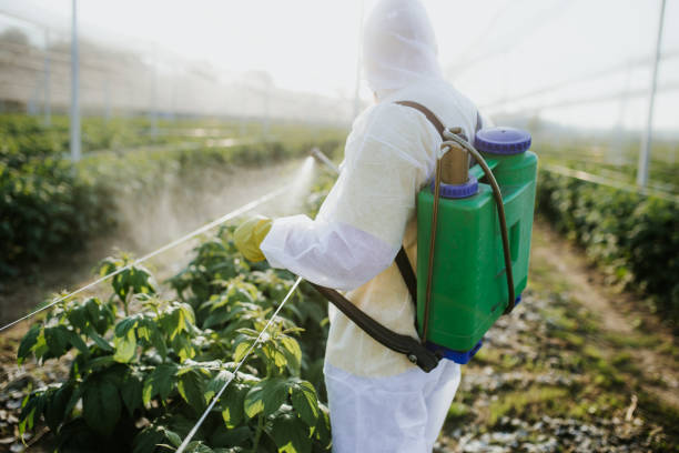 Professional Pest Control in Point Roberts, WA
